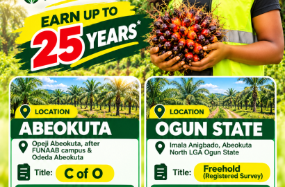 Agro Real Estate -Palm oil Farm