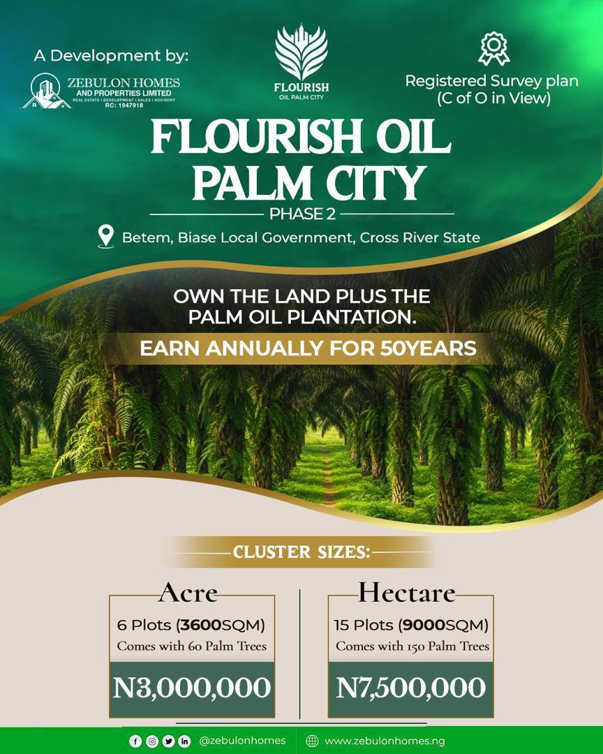 Fruiting Palm trees for your investment