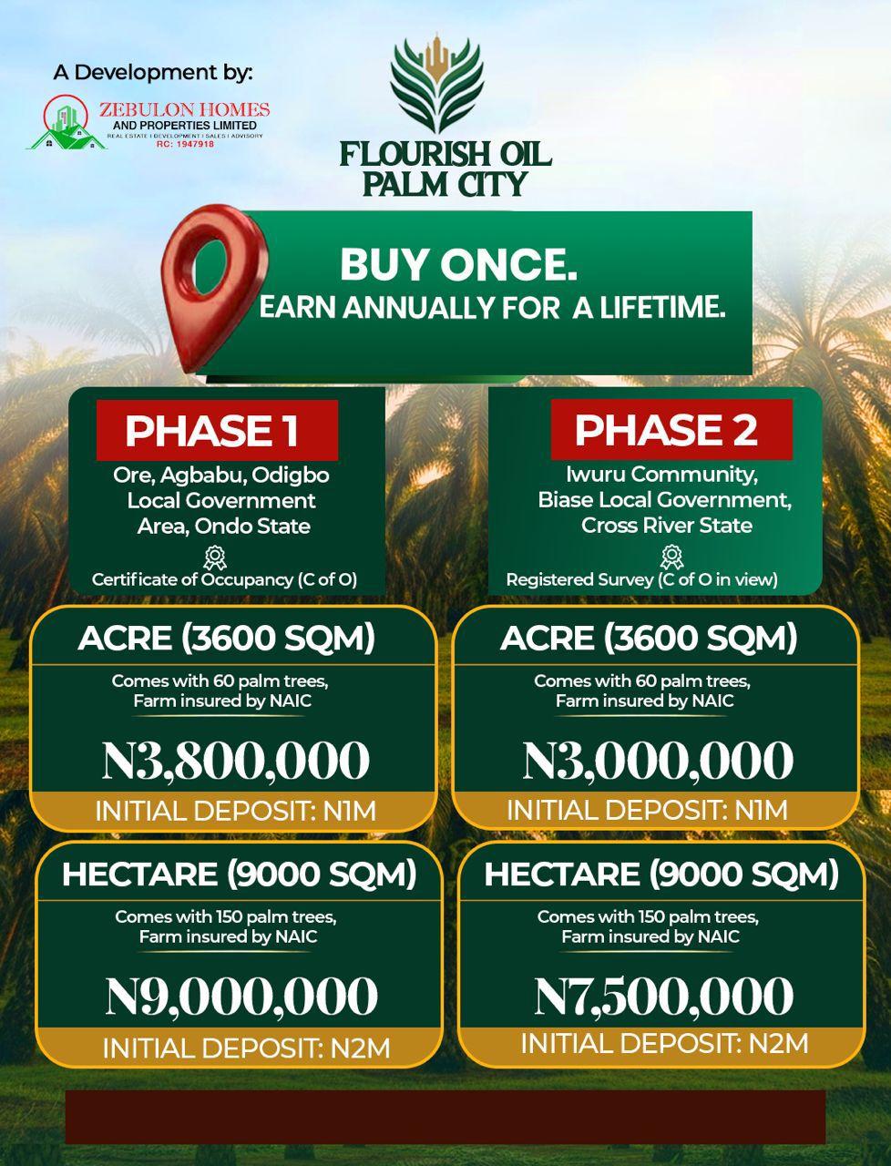 Fruiting Palm trees for your investment