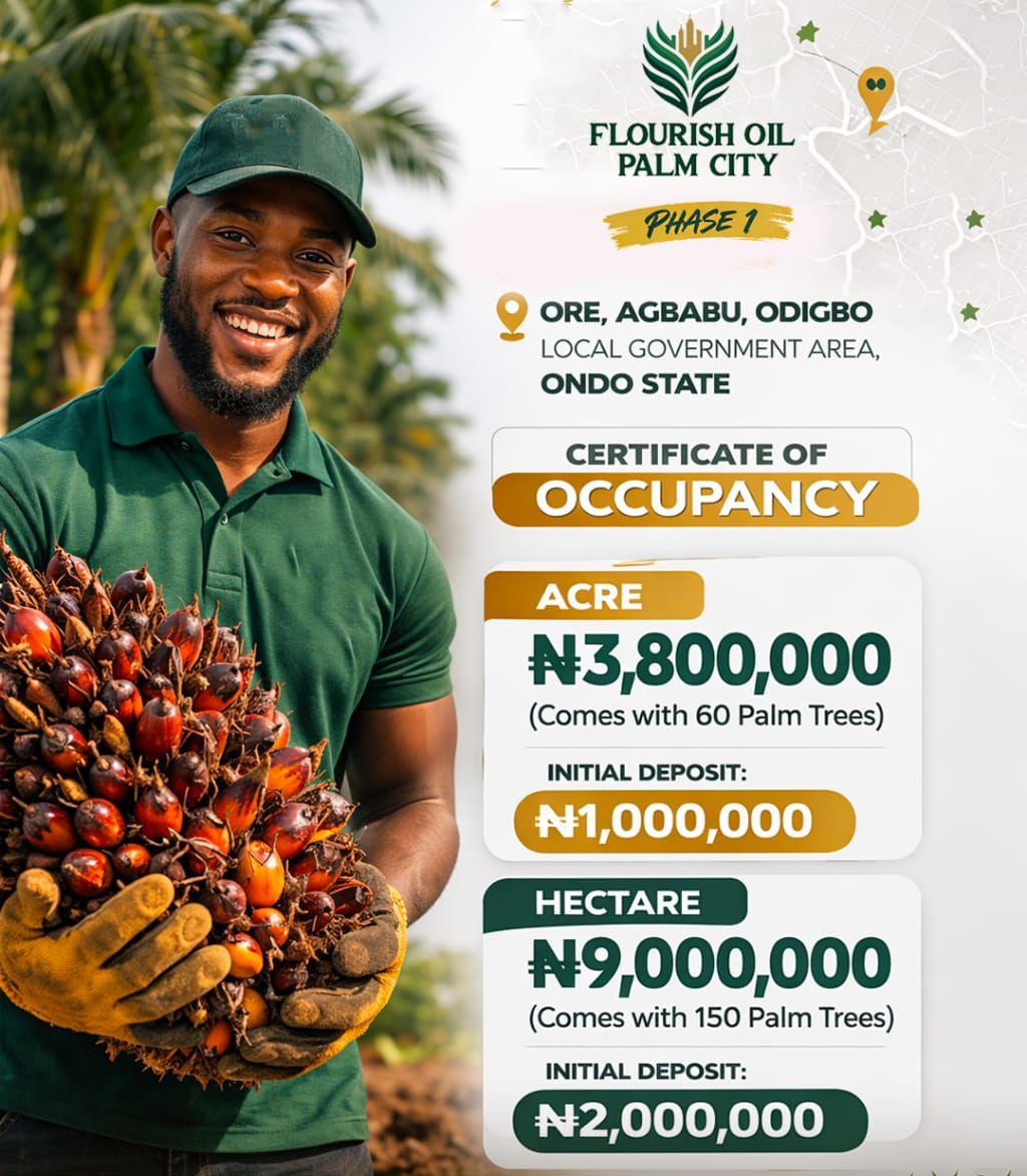 Fruiting Palm trees for your investment