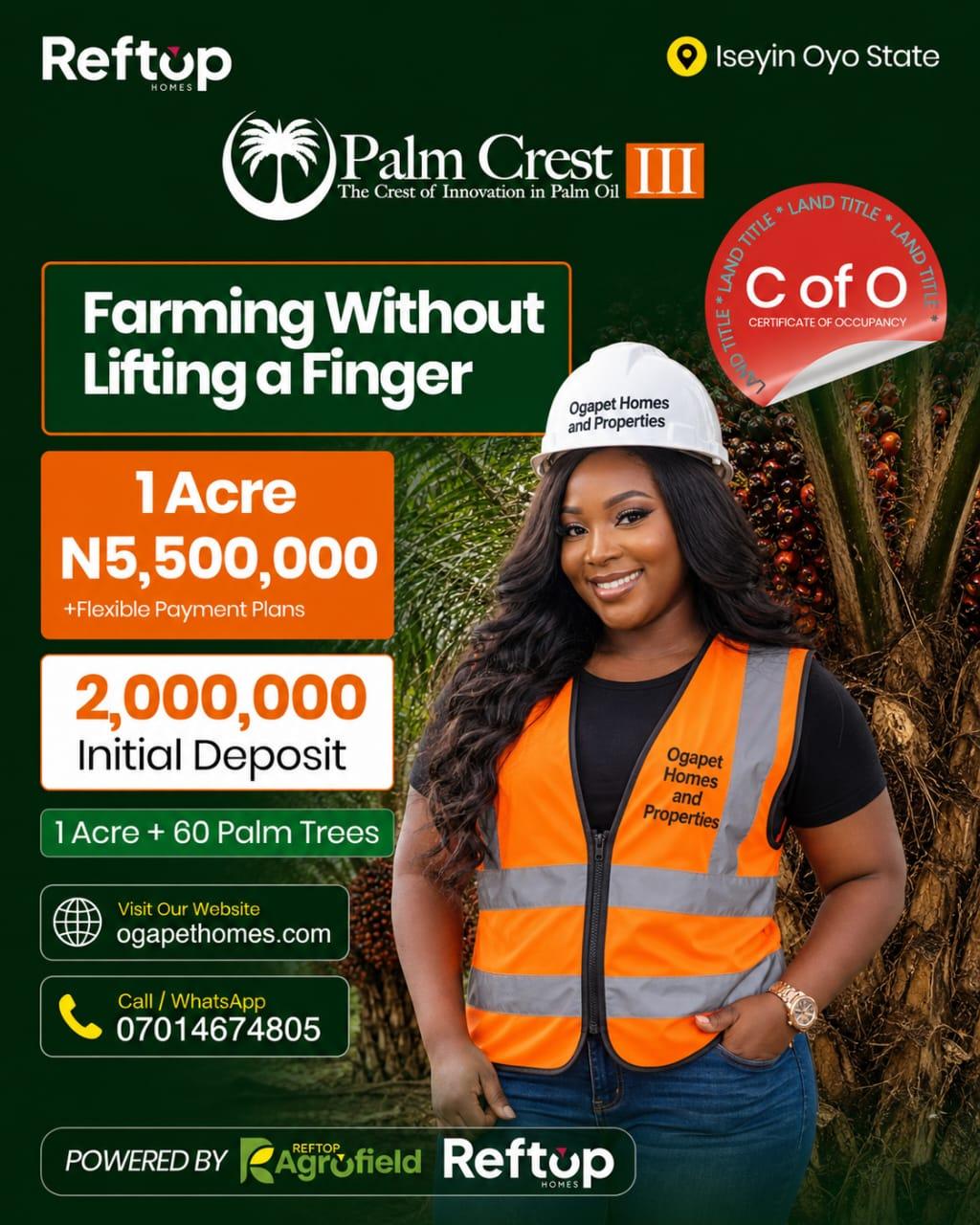 Palm oil Plantation Farmland with C of O in Iseyin, Ibadan