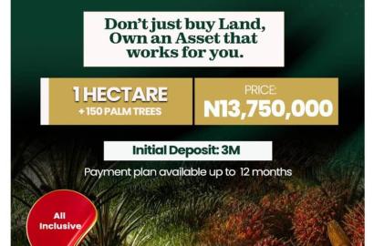 Over 3000 Acres of Palm Tree Farming land