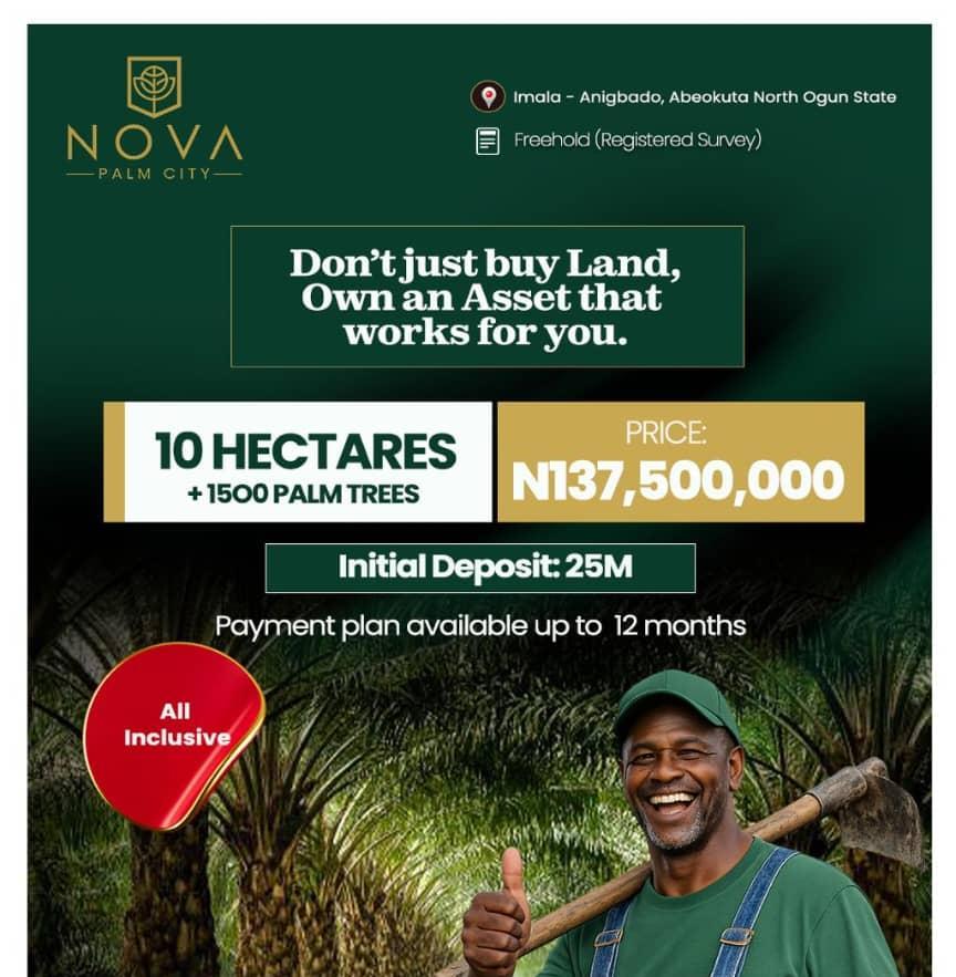 Over 3000 Acres of Palm Tree Farming land
