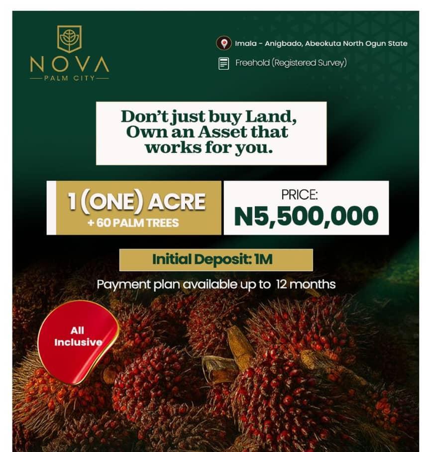 Over 3000 Acres of Palm Tree Farming land